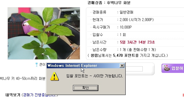 나무.jpg