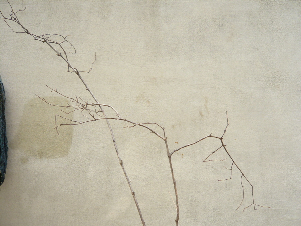 P1040754.JPG