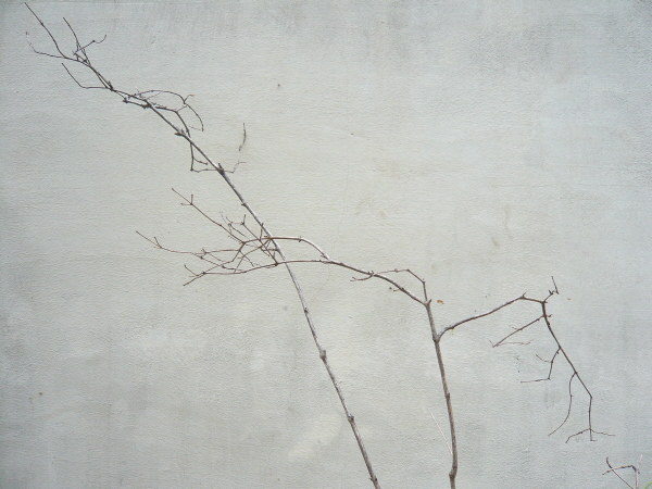P1040833.JPG